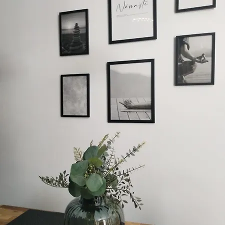 بيت شباب Time Life *